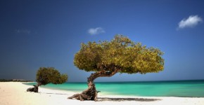 aruba with family, aruba with kids, aruba for kids